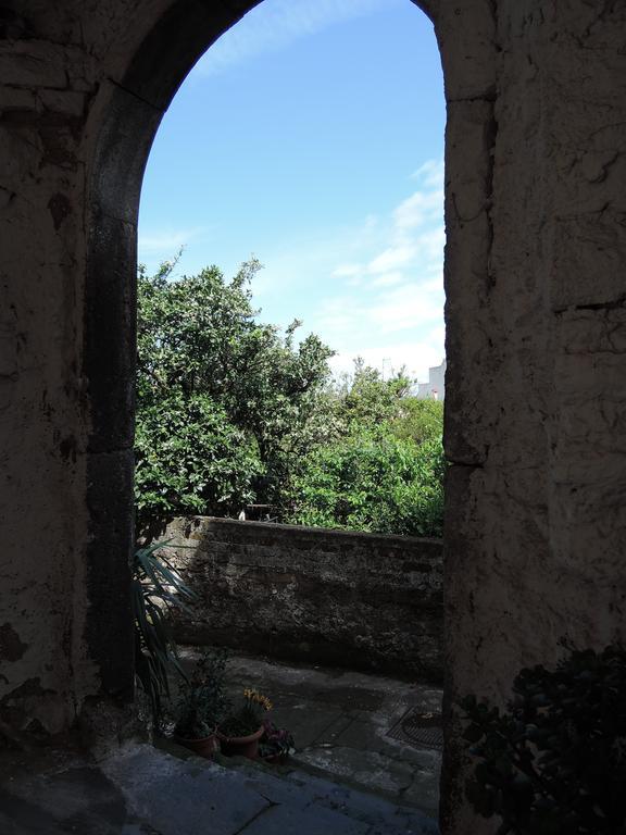 La Casa Nel Cortile Bed & Breakfast Vico Equense Ngoại thất bức ảnh